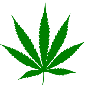 Cannabis leaf.svg 281x300
