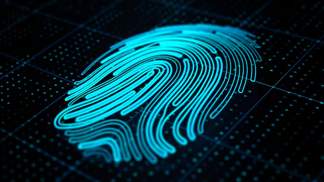 Digital fingerprint